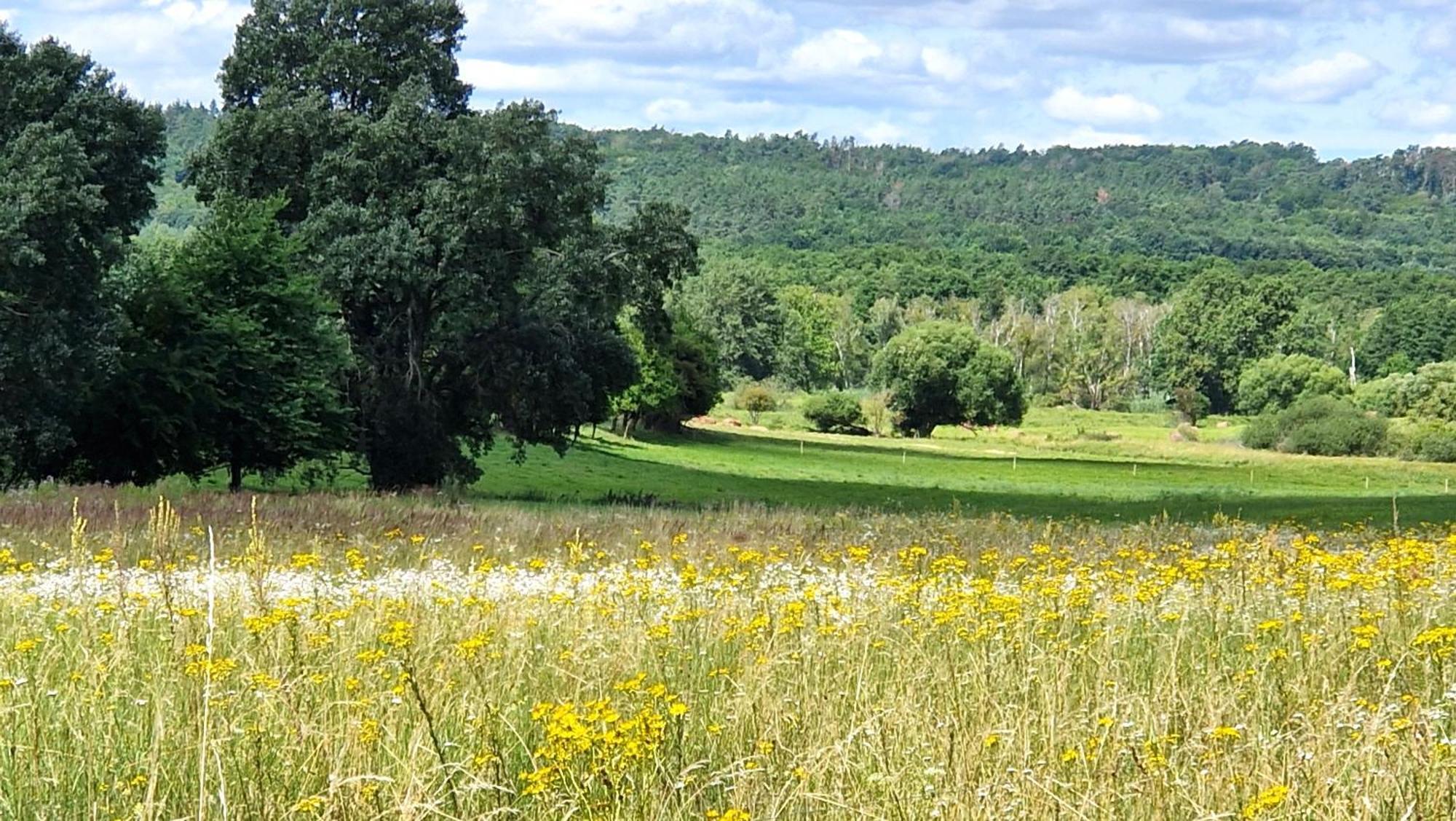 Villa Orlik Барлинек Екстериор снимка
